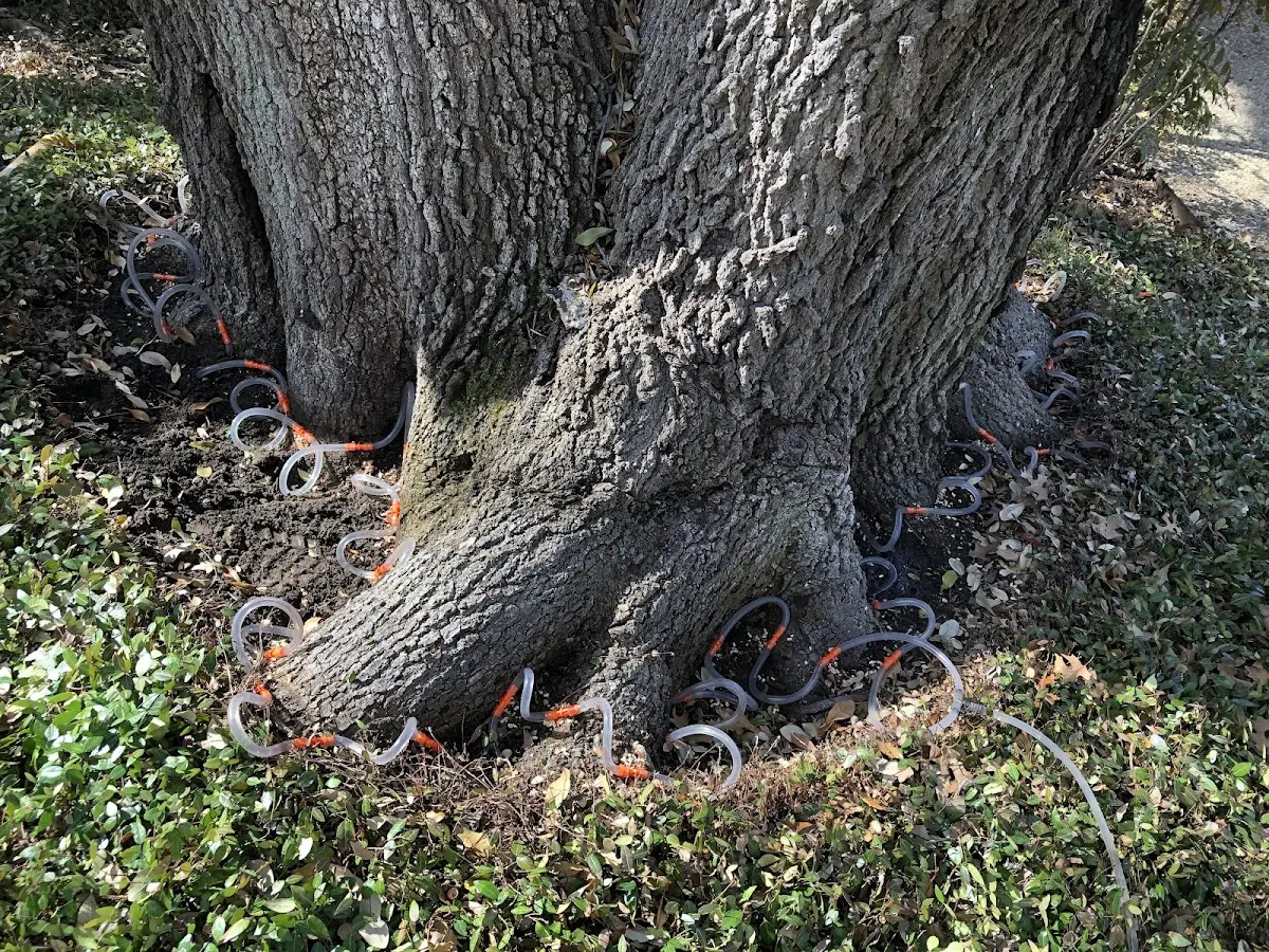 Detailed Shrub and Hedge Trimming job site in Fork