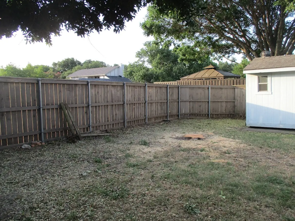 Cleared yard after professional tree removal in Fork